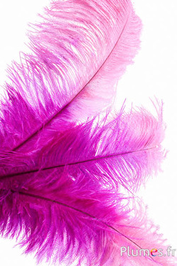 Struisvogel - 30-40 cm - pink-roze